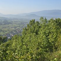 Photo 7 of the Bikemap route "Entspannte Route"