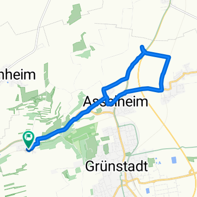 Leininger Pfad, Mertesheim nach Leininger Pfad, Mertesheim