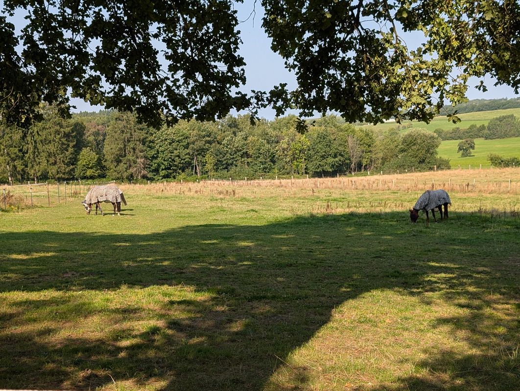 Am Langenstrank nach Am Langenstrank