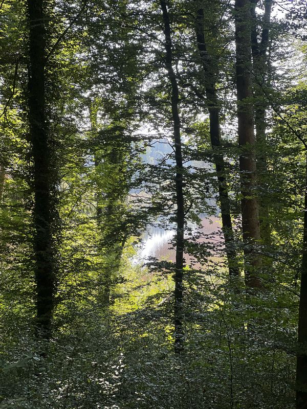 Nordendstraße, Radolfzell am Bodensee nach Nordendstraße, Radolfzell am Bodensee