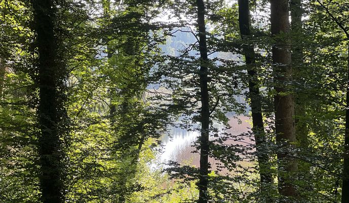 Zdjęcie 1 trasy Bikemap „Nordendstraße, Radolfzell am Bodensee nach Nordendstraße, Radolfzell am Bodensee”