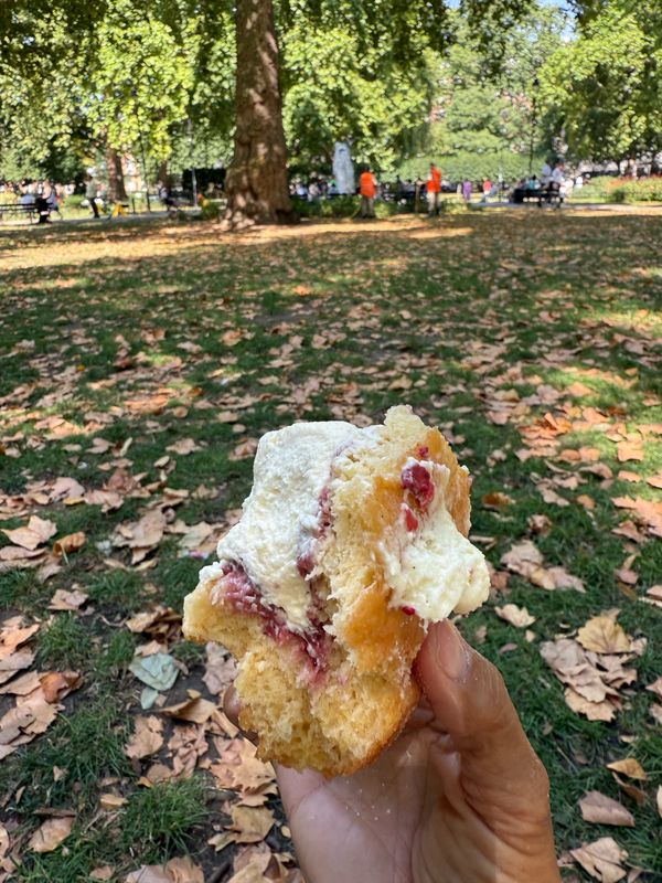 West Hampstead, West End Lane to Fortitude Bakehouse, nr Russell Sq