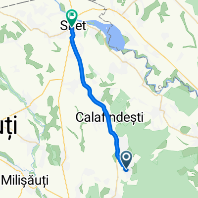calinesti siret