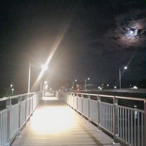 최고 속도 시속 31km