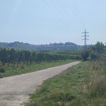 Hausenring - Max Eyth See - Grabkapelle - Fernsehturm - Bärenschlößle - Hausenring