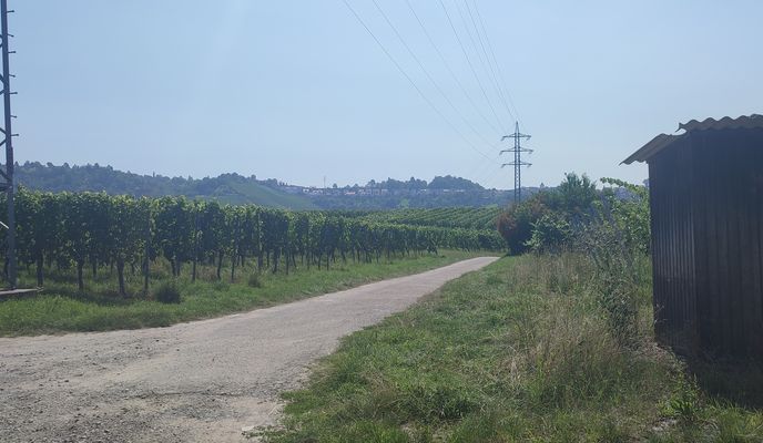 Foto 1 der Bikemap-Route "Hausenring - Max Eyth See - Grabkapelle - Fernsehturm - Bärenschlößle - Hausenring"