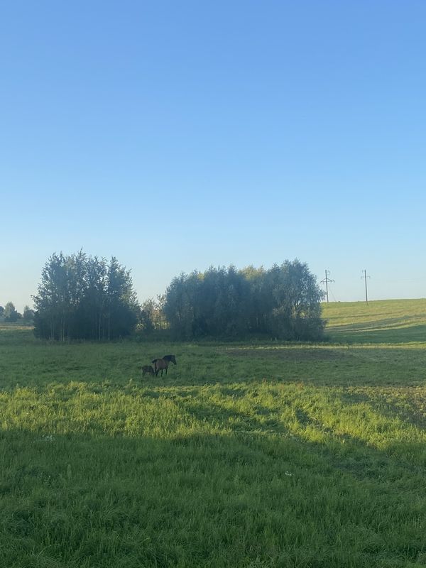 ΡΠ»ΠΈΡΠ° 8 ΠΠ°ΡΡΠ°, Π₯ΠΎΠ»ΠΎΠΏΠ΅Π½ΠΈΡΡΠΊΠΈΠΉ Π΄ΠΎ ΡΠ»ΠΈΡΠ° 8 ΠΠ°ΡΡΠ°, Π₯ΠΎΠ»ΠΎΠΏΠ΅Π½ΠΈΡΡΠΊΠΈΠΉ