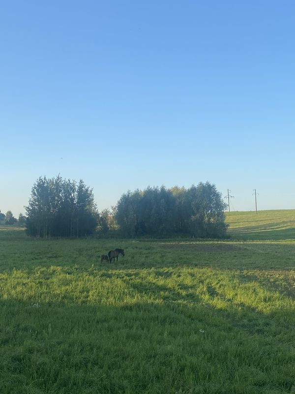 ΡΠ»ΠΈΡΠ° 8 ΠΠ°ΡΡΠ°, Π₯ΠΎΠ»ΠΎΠΏΠ΅Π½ΠΈΡΡΠΊΠΈΠΉ Π΄ΠΎ ΡΠ»ΠΈΡΠ° 8 ΠΠ°ΡΡΠ°, Π₯ΠΎΠ»ΠΎΠΏΠ΅Π½ΠΈΡΡΠΊΠΈΠΉ