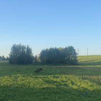 улица 8 Марта, Холопеничский до улица 8 Марта, Холопеничский