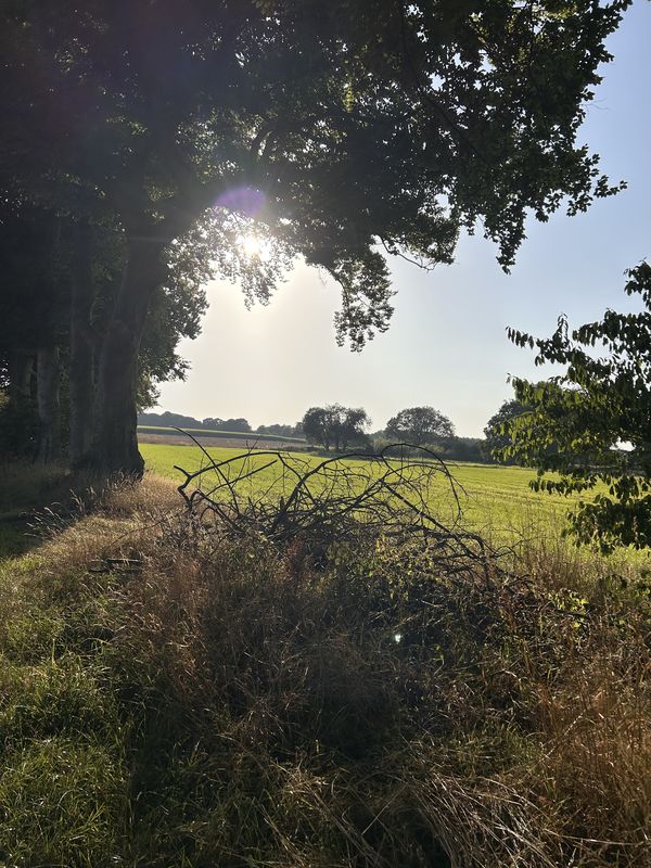 Rheiner Straße, Gelsenkirchen nach Iburger Straße, Gelsenkirchen