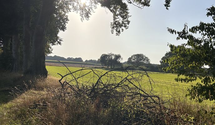 Photo 2 de l’itinéraire Bikemap « Rheiner Straße, Gelsenkirchen nach Iburger Straße, Gelsenkirchen »