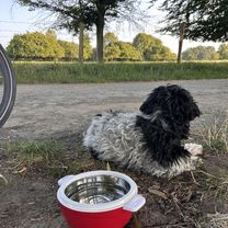 Rheiner Straße, Gelsenkirchen nach Iburger Straße, Gelsenkirchen