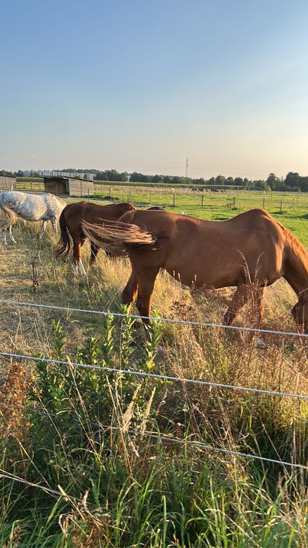 Stadtplatz, Waldkraiburg nach Stadtplatz, Waldkraiburg