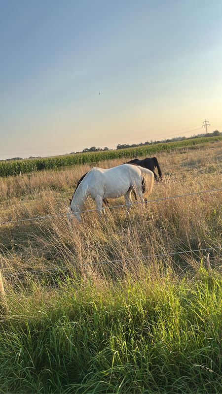 Stadtplatz, Waldkraiburg nach Stadtplatz, Waldkraiburg