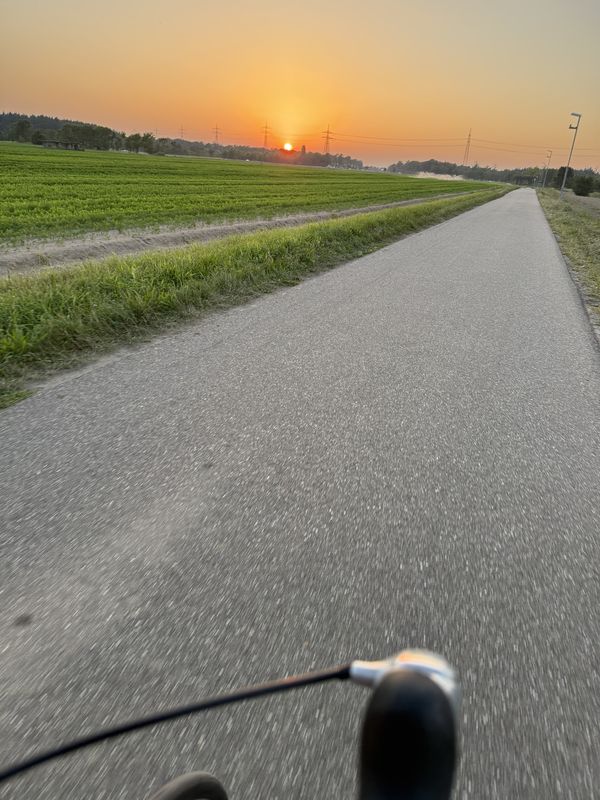 Dresdener Straße, Reilingen nach Dresdener Straße, Reilingen