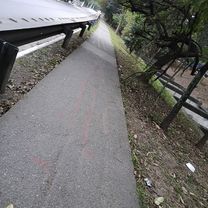 De Avenida Professor Edgar Santos a Avenida Professor Edgar Santos