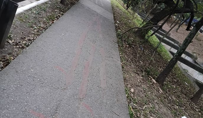 Foto 1 del percorso Bikemap "De Avenida Professor Edgar Santos a Avenida Professor Edgar Santos"