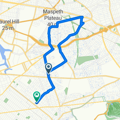Fresh Pond Rd, New York to Woodbine St, New York