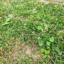 вулиця Оріхуватська to вулиця Оріхуватська