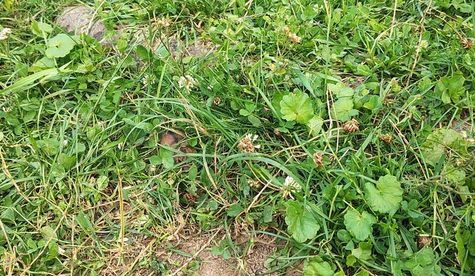 Photo 1 de l’itinéraire Bikemap « вулиця Оріхуватська to вулиця Оріхуватська »