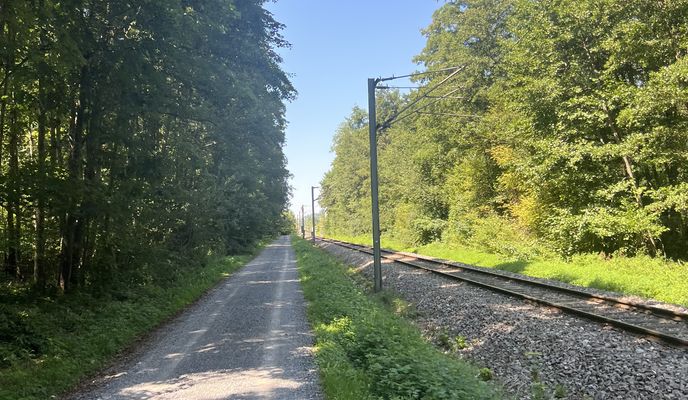 Foto 1 der Bikemap-Route "49.051, 8.851 nach 49.266, 8.590"