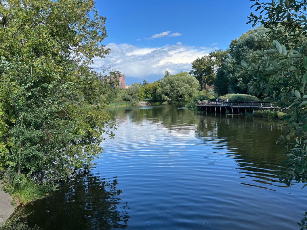 Каталка 59 км