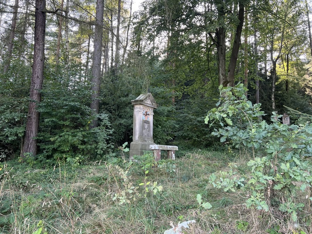 13.8. Bozanov-Sokolowsko