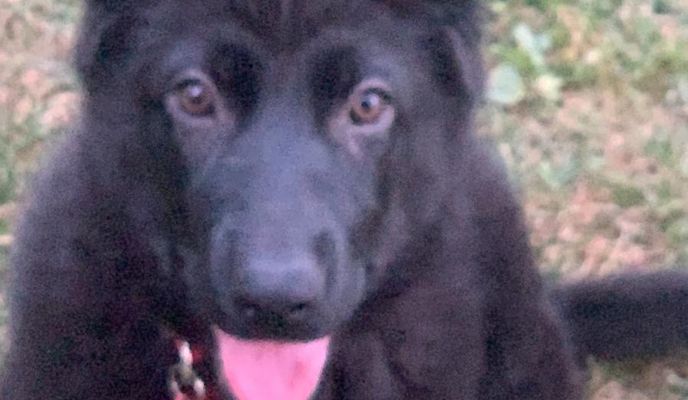 Foto 2 de la ruta de Bikemap "Strada Dumitru Marinescu, Bucharest to Strada Dumitru Marinescu, Bucharest"