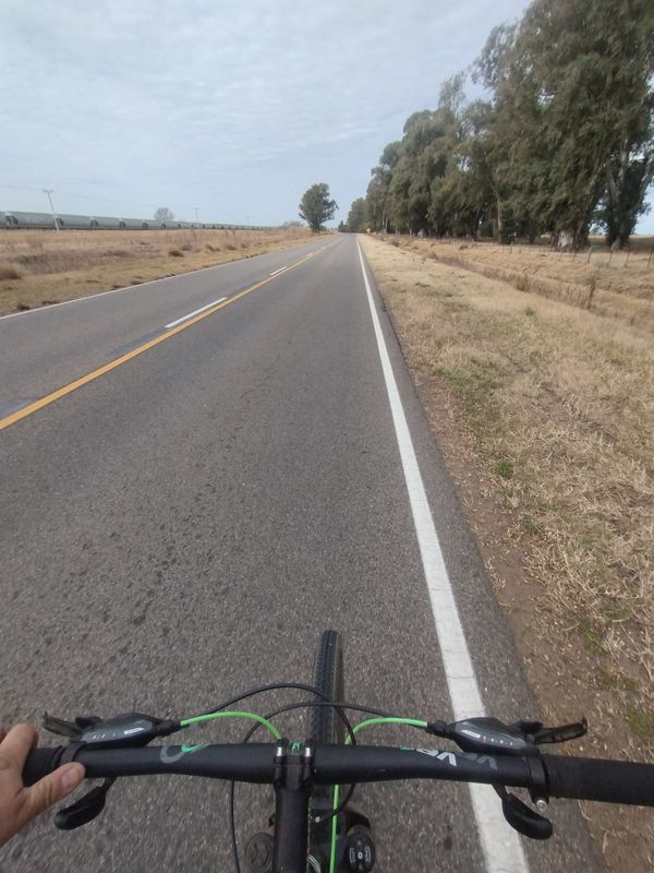 Miércoles 13/8