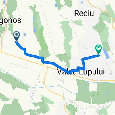 bogonos-VL