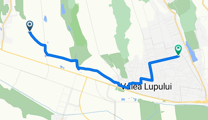 bogonos-VL