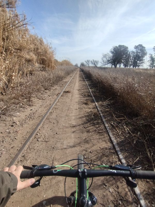 activando
