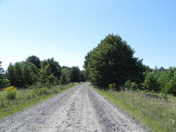 Destacado 6 en la ruta de Bikemap "#5 Луцьк-Уляники"