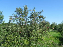 Destacado 8 en la ruta de Bikemap "#5 Луцьк-Уляники"