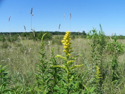 Destacado 5 en la ruta de Bikemap "#5 Луцьк-Уляники"
