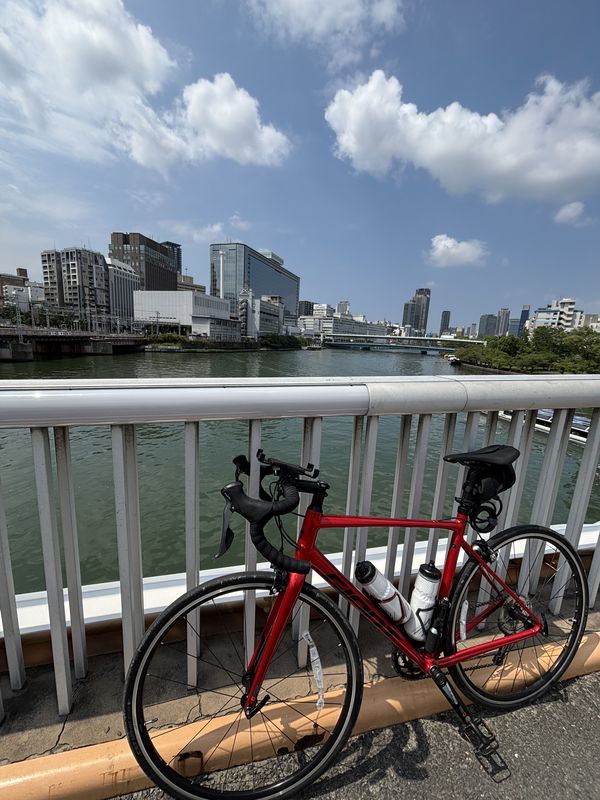 宇治, 宇治市へ宇治半白, 宇治市