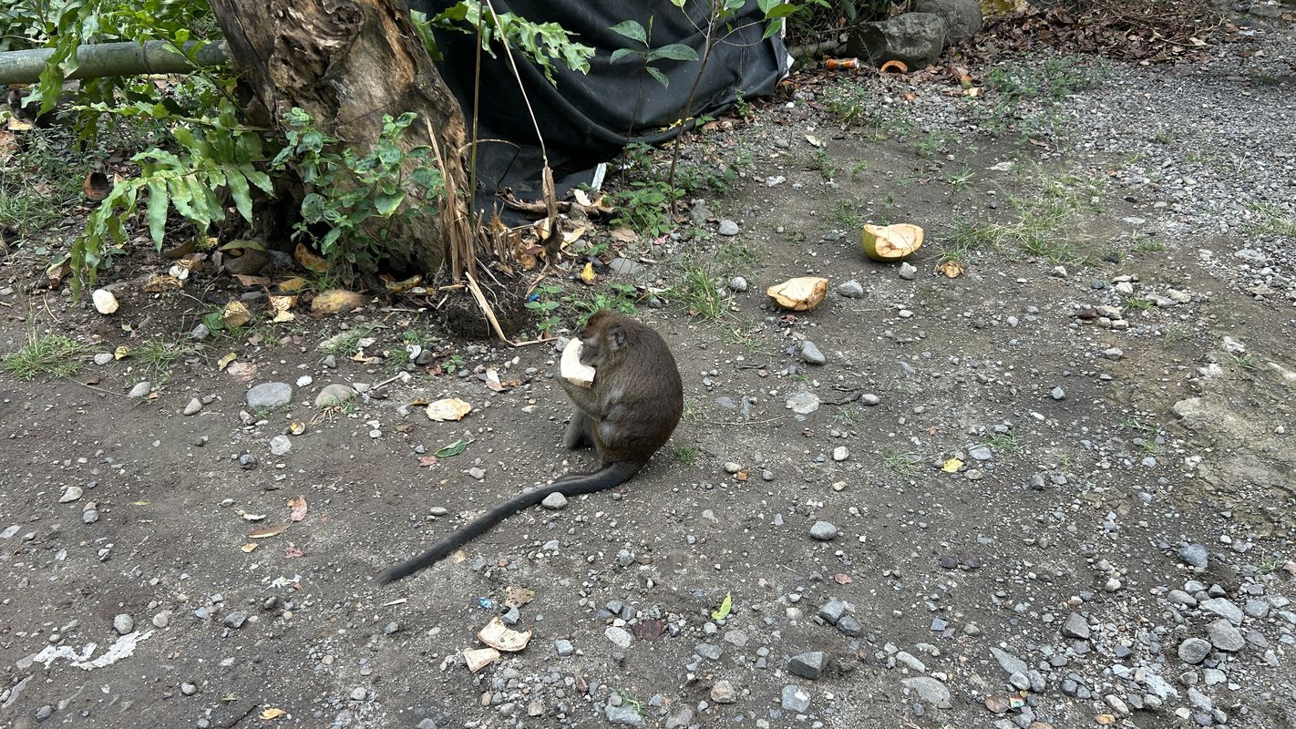 Valencia to Dumaguete via Balugo MTB Trail, Valencia nach Valencia to Dumaguete via Balugo MTB Trail, Valencia