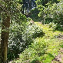 Photo 7 of the Bikemap route "Frommerkogel Runde"