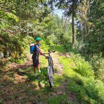 Photo 8 of the Bikemap route "Frommerkogel Runde"