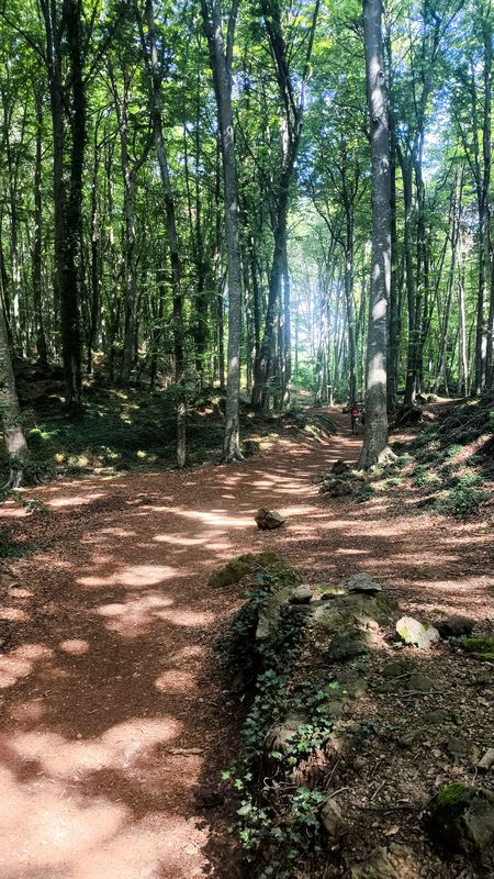 17 GARROTXA Volcans : Olot V Croscat Sta-Pau V Rocanegra V Sta-Margarida Fageda Ermita St Martí i St Miquel-del-Corb V del Racó