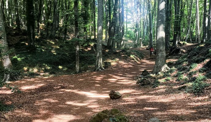 Photo 2 of the Bikemap route "17 GARROTXA Volcans : Olot V Croscat Sta-Pau V Rocanegra V Sta-Margarida Fageda Ermita St Martí i St Miquel-del-Corb V del Racó"