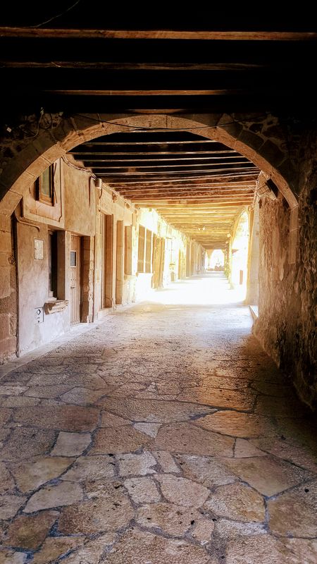 17 GARROTXA Volcans : Olot V Croscat Sta-Pau V Rocanegra V Sta-Margarida Fageda Ermita St Martí i St Miquel-del-Corb V del Racó