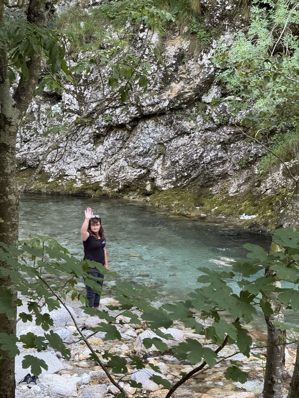 Medlog, Celje to Medlog, Celje