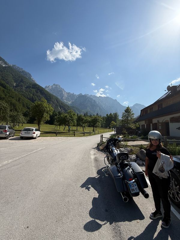 Medlog, Celje to Medlog, Celje