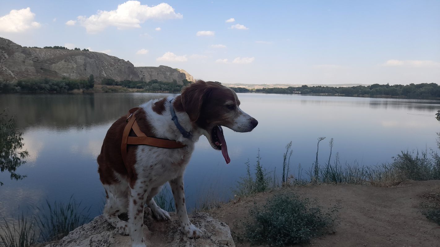 laguna del Campillo