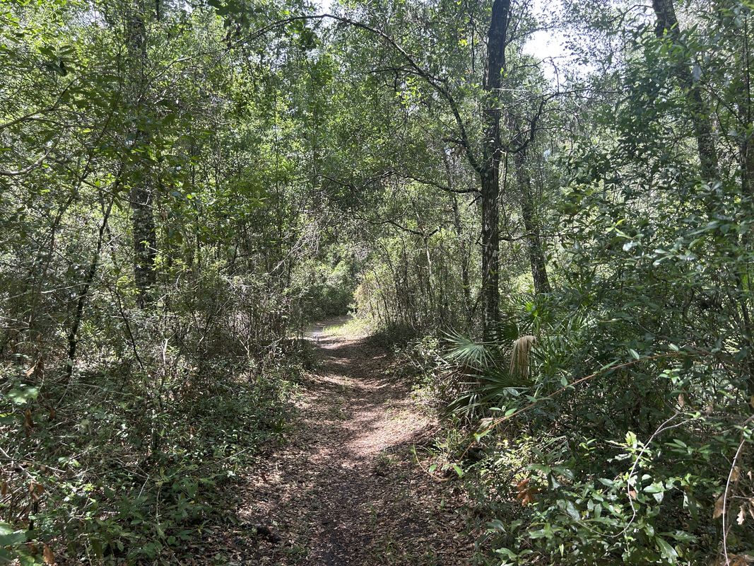 Withlacoochee State Trail, Brooksville to Croom Rital Rd, Brooksville