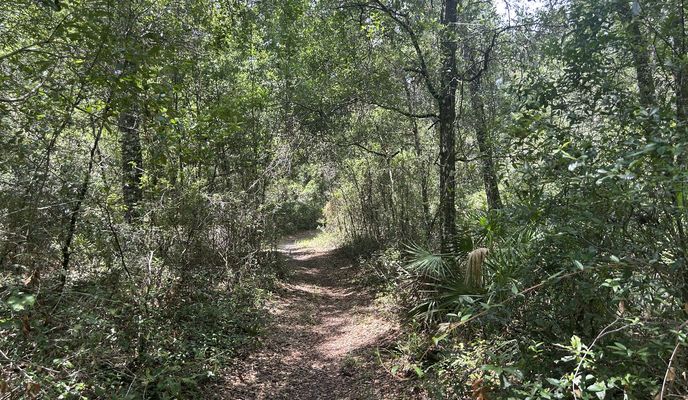 Foto 1 de la ruta de Bikemap "Withlacoochee State Trail, Brooksville to Croom Rital Rd, Brooksville"