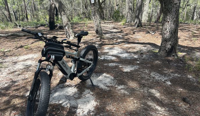 Foto 2 de la ruta de Bikemap "Withlacoochee State Trail, Brooksville to Croom Rital Rd, Brooksville"