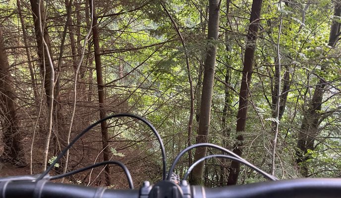 Foto 2 der Bikemap-Route "Hahnenklee, Goslar nach Hahnenklee, Goslar"