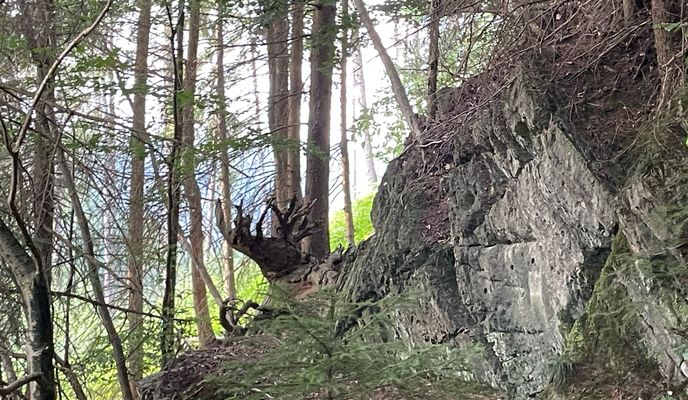 Foto 1 der Bikemap-Route "Hahnenklee, Goslar nach Hahnenklee, Goslar"